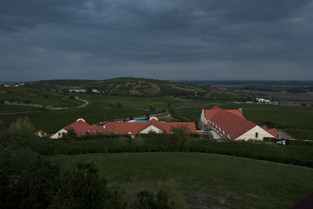 Vinarstvi U Kaplicky Hotel Zaječí Cameră foto