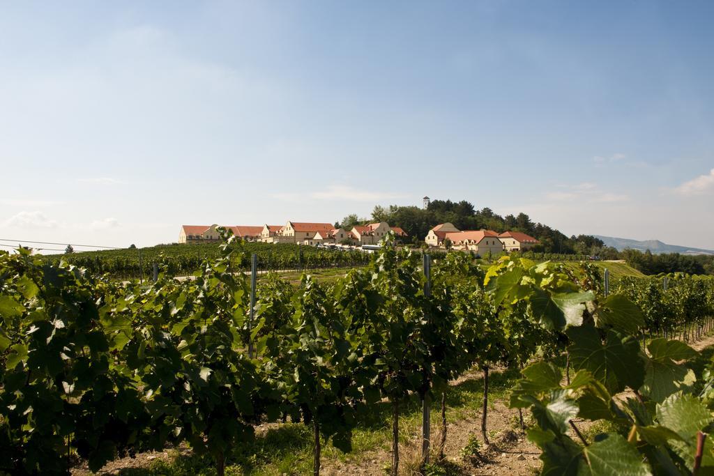 Vinarstvi U Kaplicky Hotel Zaječí Exterior foto